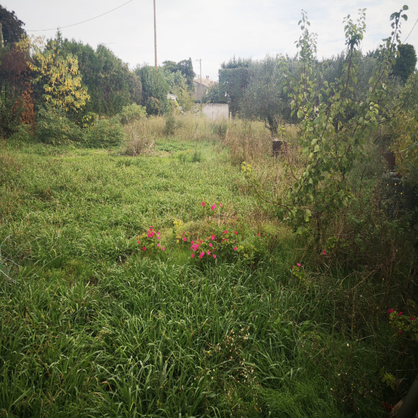 Offres de vente Terrain Saint-martin-de-crau 13310