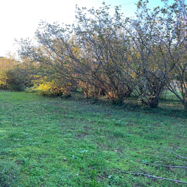 Offres de vente Terrain Paradou 13520